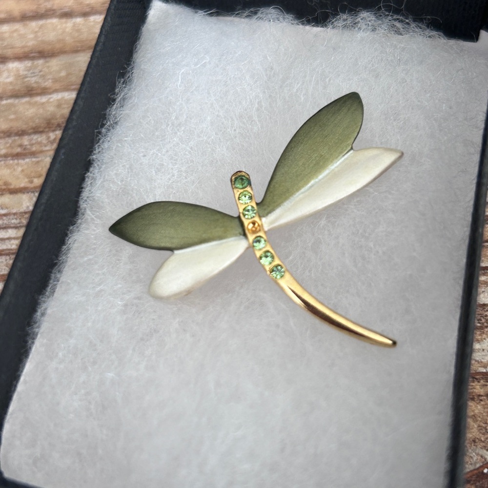 Very pretty dragonfly pin